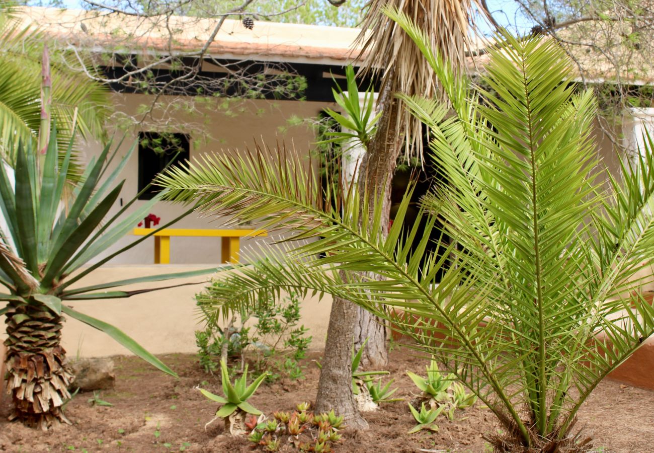 Bungalow a Playa de Migjorn - Can Miguel Marti Bungalow - 2 camere da letto