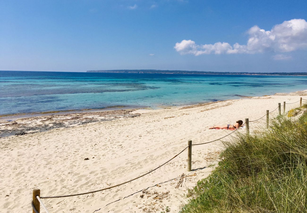 Appartamento a Playa de Migjorn - Voga Mari - Appartamento Attico