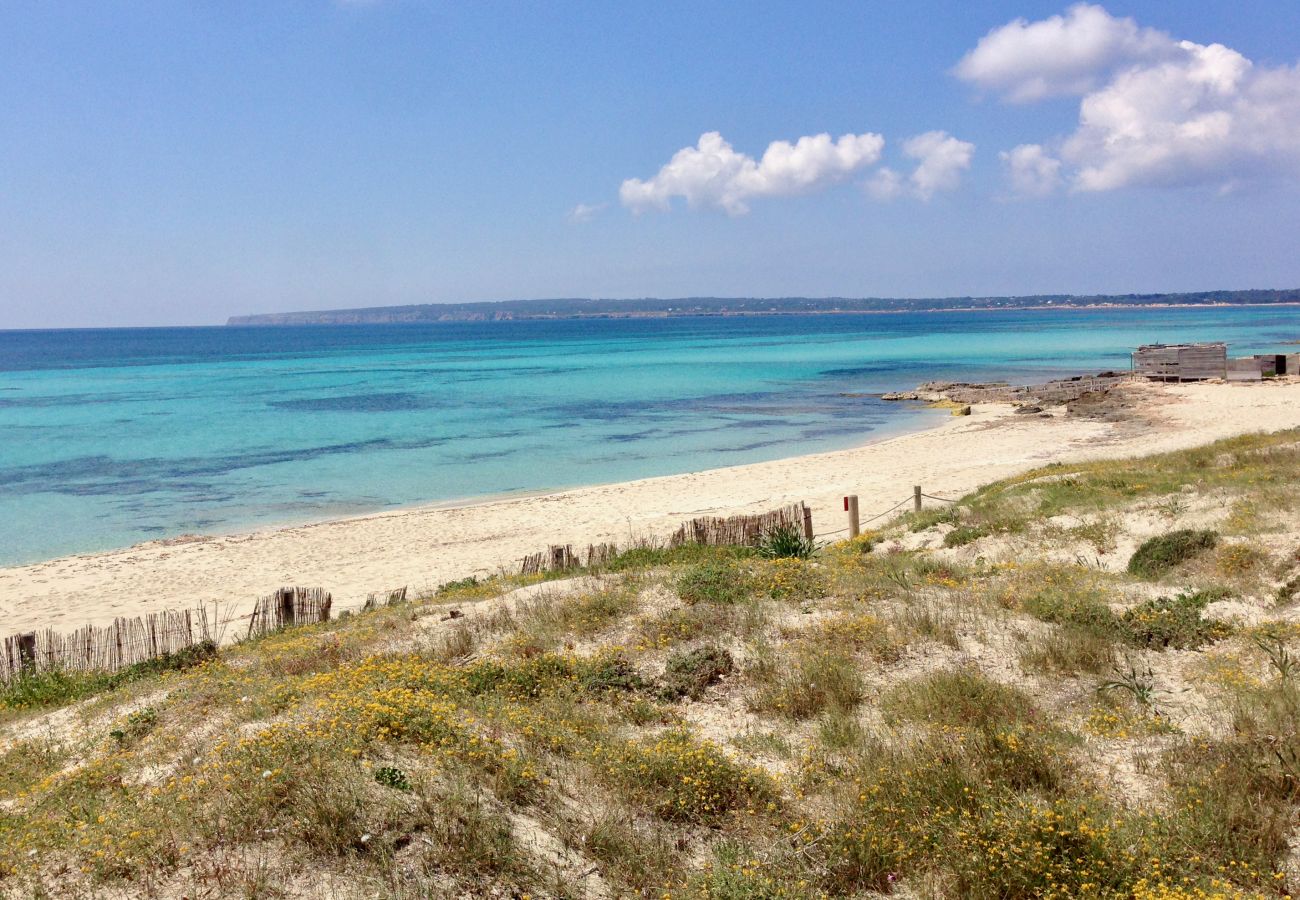 Bungalow a Playa de Migjorn - Casa Can Pep, Formentera - Bungalow con 1 camera da letto