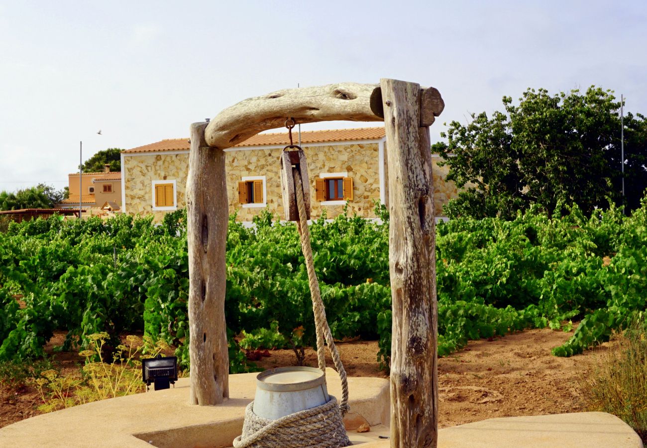 Bungalow a Playa de Migjorn - Casa Can Pep, Formentera - Bungalow con 1 camera da letto