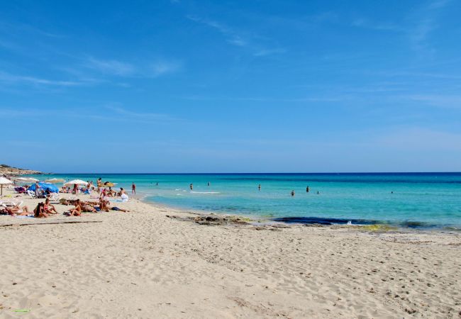 Villa a Playa de Migjorn - Casa Stefi Beach House, Migjorn - Formentera
