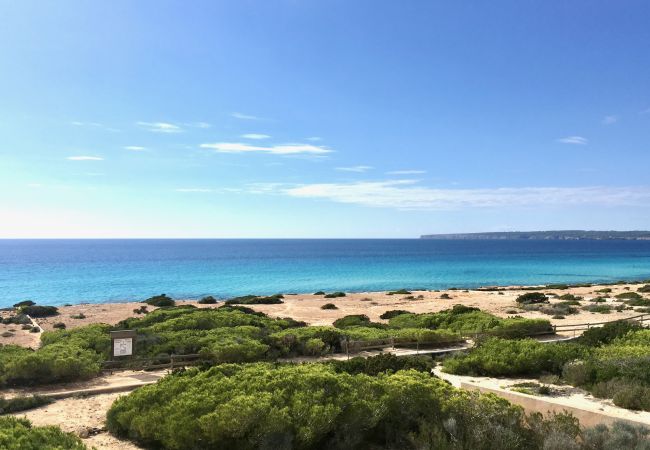 Villa a Playa de Migjorn - Casa Stefi Beach House, Migjorn - Formentera