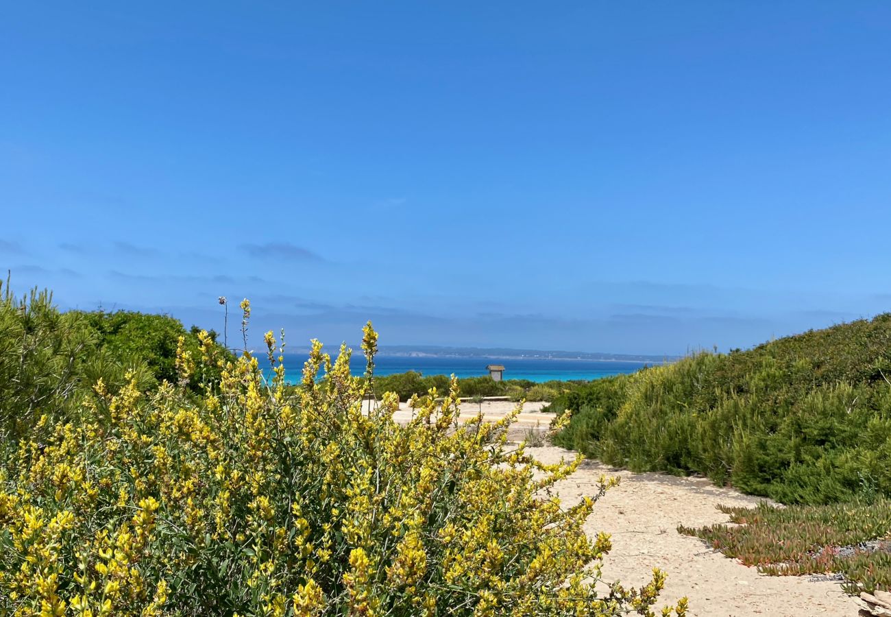 Villa a Playa de Migjorn - Casa Stefi Beach House, Migjorn - Formentera