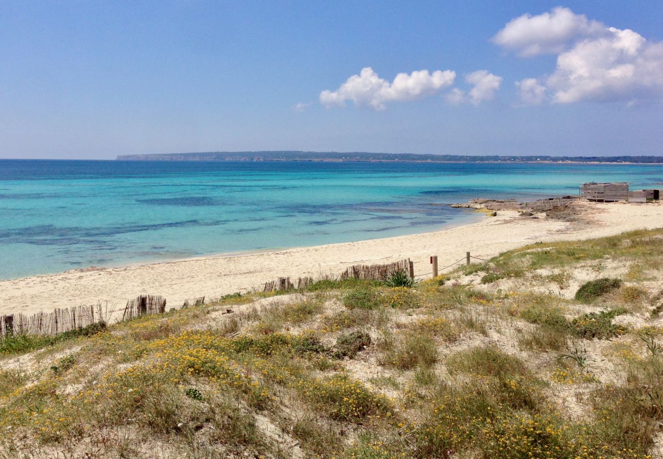 Villa a Playa de Migjorn - Casa Stefi Beach House, Migjorn - Formentera