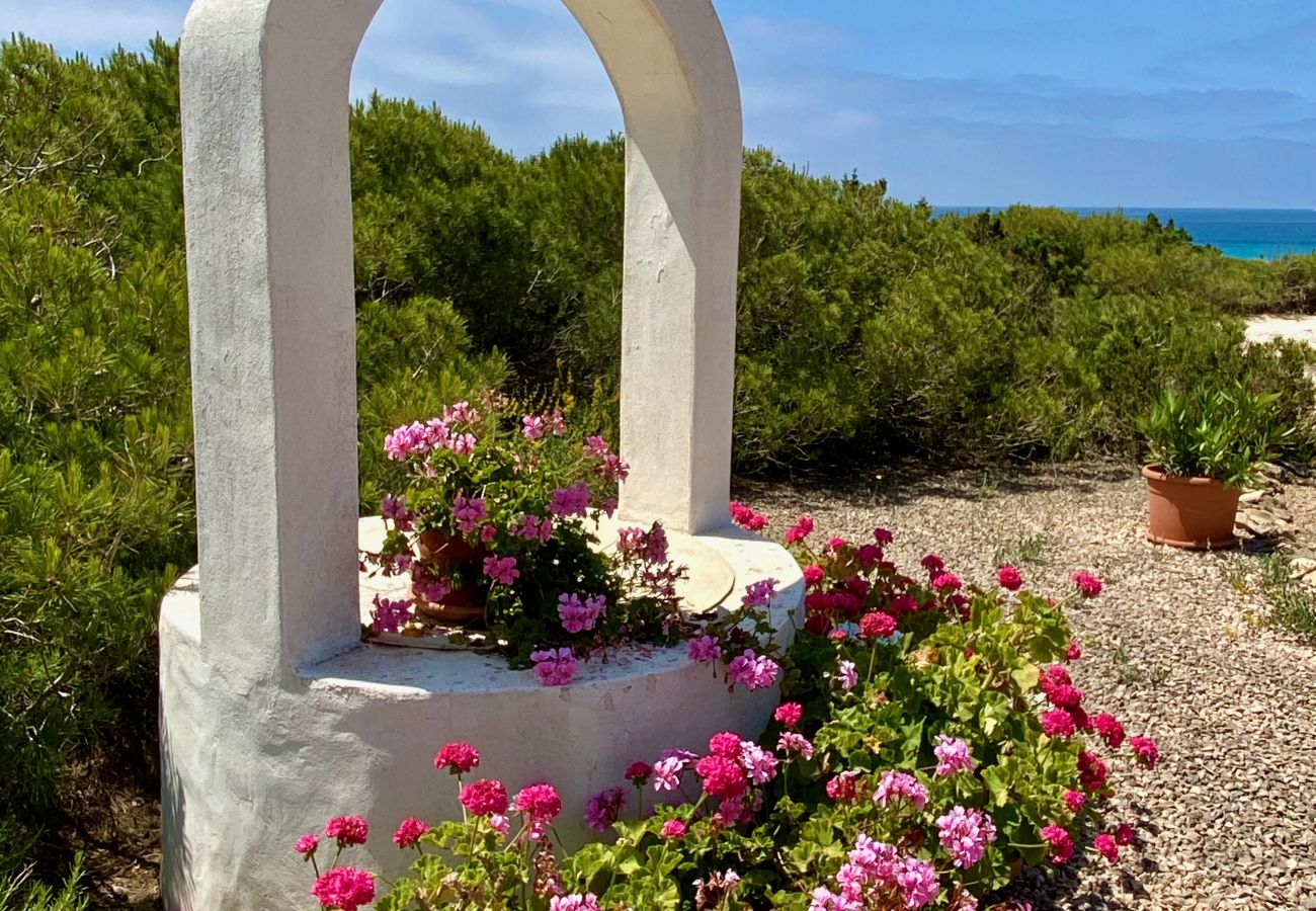 Villa a Playa de Migjorn - Casa Stefi Beach House, Migjorn - Formentera